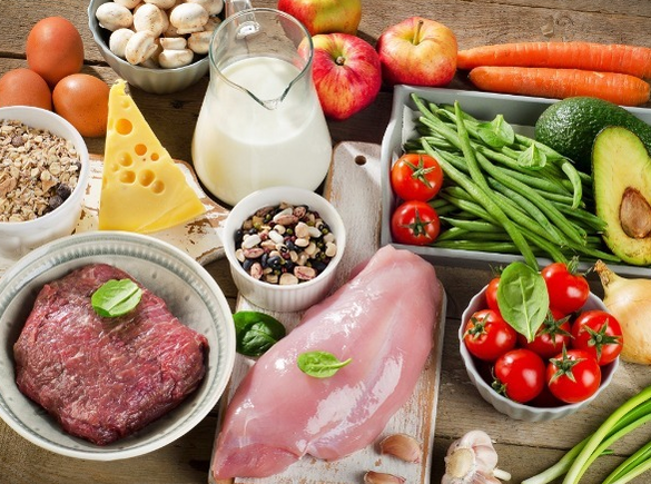Protein Diyeti Ürünleri